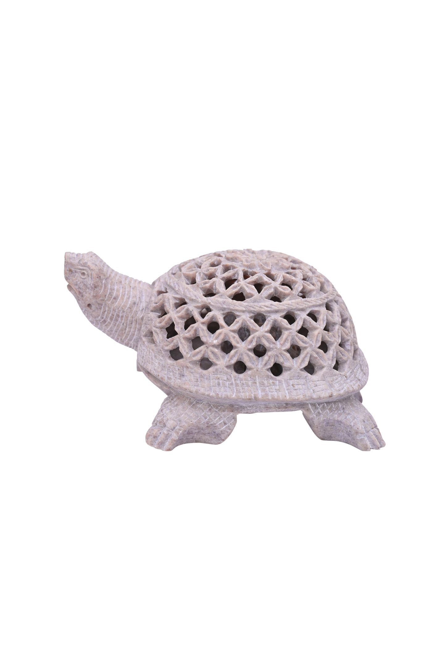 Tortoise