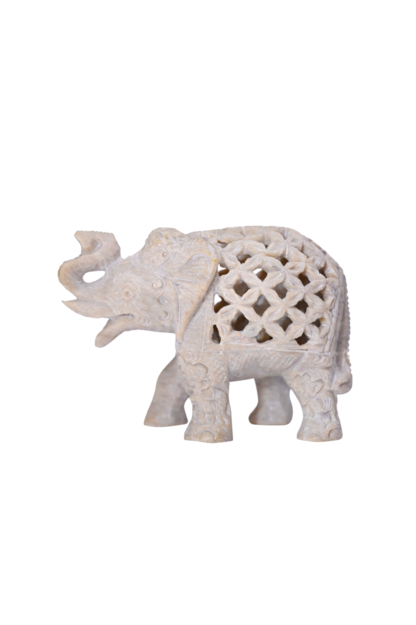 Trunk Up Chadar Elephant