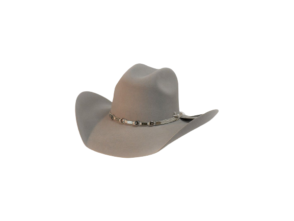 EXCLUSIVE AUSTIN TEXAS COUNTRY WESTERN FELT COWBOY HAT PLATINUM