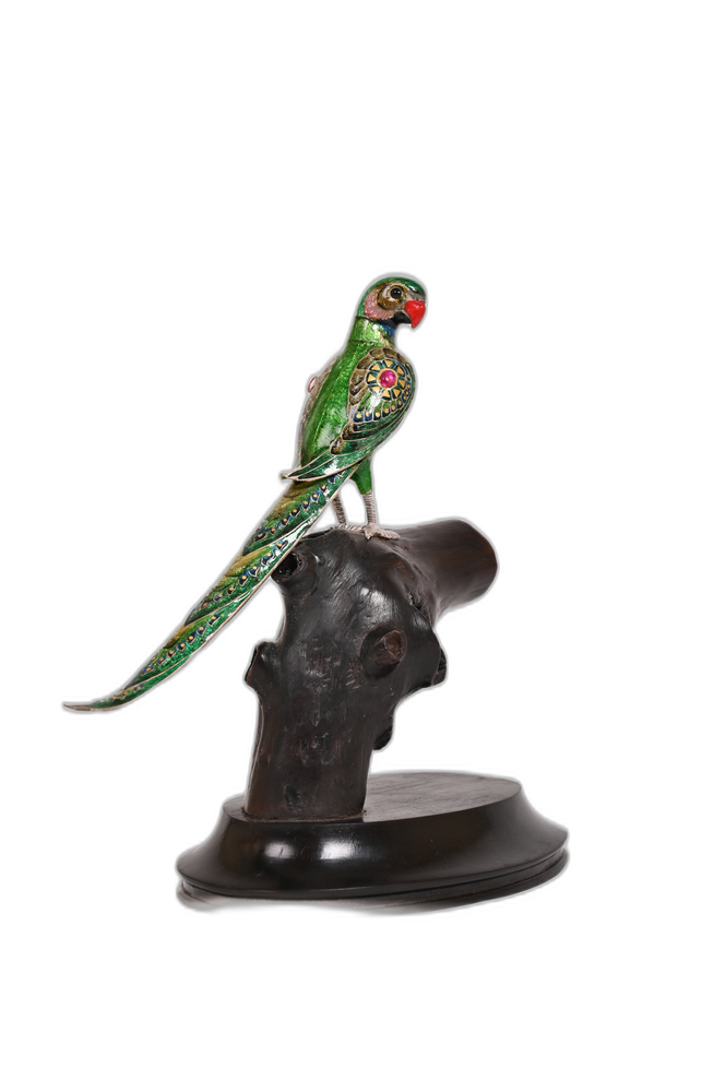 Parrot