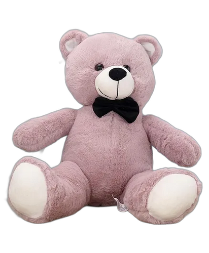 Teddy Bear Soft Toy
