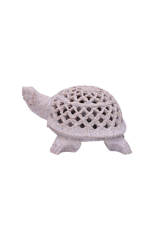 Tortoise