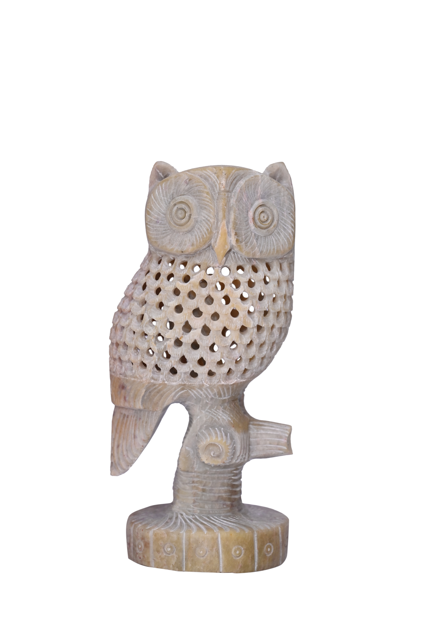 Thai Owl