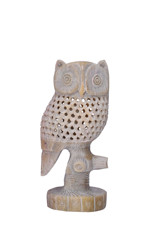 Thai Owl