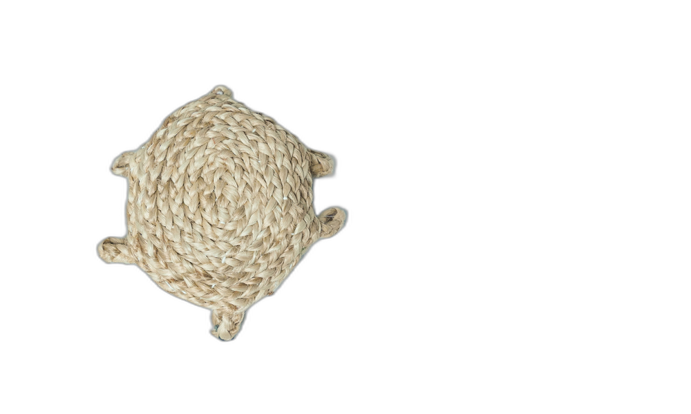 Handwoven Jute Tortoise Decor Piece
