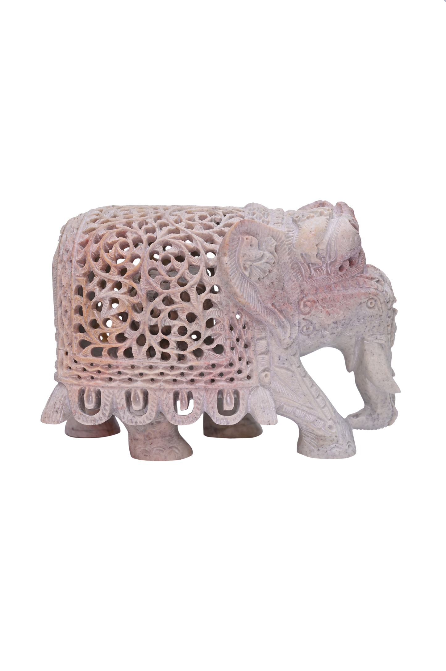 Trunk Down Chadar Elephant