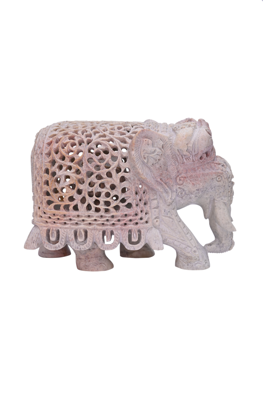 Trunk Down Chadar Elephant