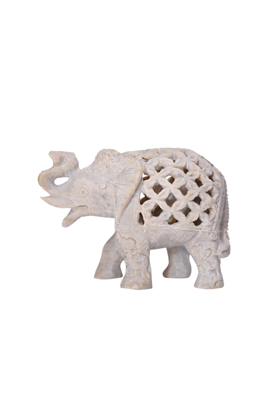 Trunk Up Chadar Elephant