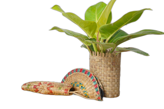 Handmade Water Hyacinth Wallet