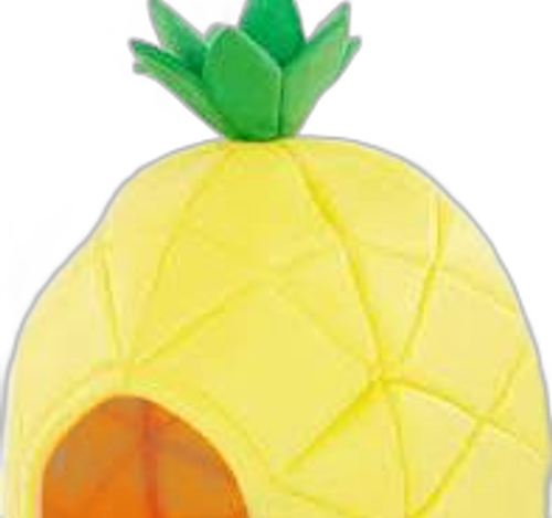 Pineapple dog bed